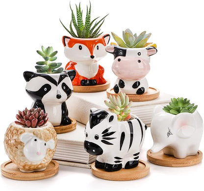 6 Pack Small Succulent Pots with Drainage Hole, 3 Inch Cute Ceramic Animal Planter with Saucer, Unique Air Plant Holder, Desktop Plant Flower Pot for Indoor Plants, Cactus, Garden, Home Decor