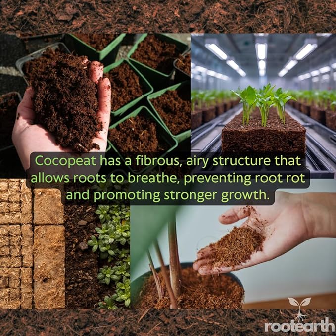 1kg Coco Peat Brick – Coconut Coir Growing Medium for Gardening, Seedlings, Indoor Plants & Potting Soil Mix