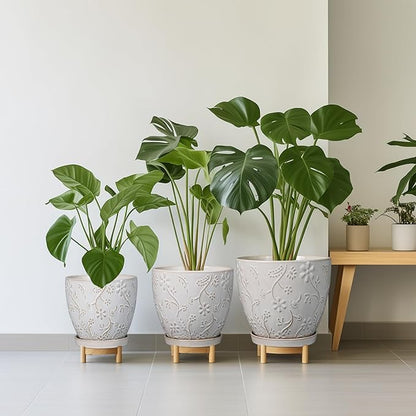 6 Inch Ceramic Plant Pot for Indoor Plants Outdoor Round Planter Flower Pot with Drainage Hole and Saucer for Home Garden Office Decor White
