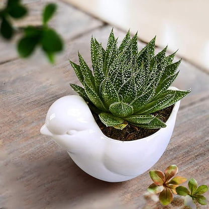 GeLive White Bird Ceramic Succulent Planter Animal Plant Pot Flower Vase Bonsai Windowsill Box with Drainage Saucer Adorable Indoor Home Decoration