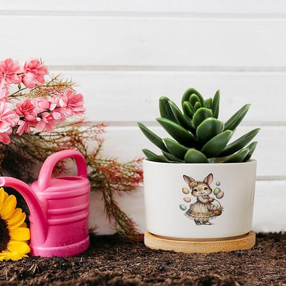 DreamAutumn Easter Bunny Ceramic Planters Ceramic Pots with Saucers Orchid Pots for Plants Succulents Pots Office Desk Garden Balconys New Home Decor,Gifts for Mom Mother Grandmother