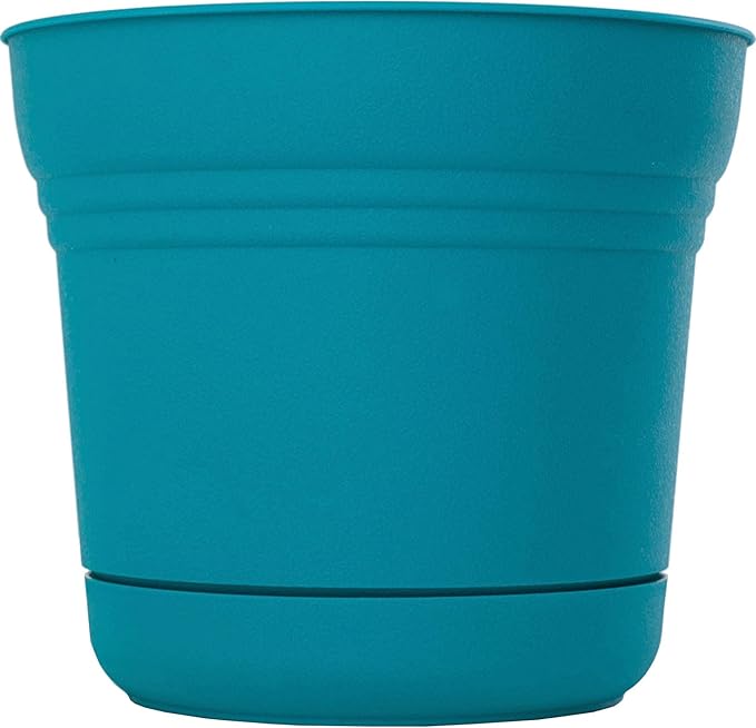 Bloem 814174023082 Saturn Planter with Saucer, 5", Calypso (SP0527), 5"