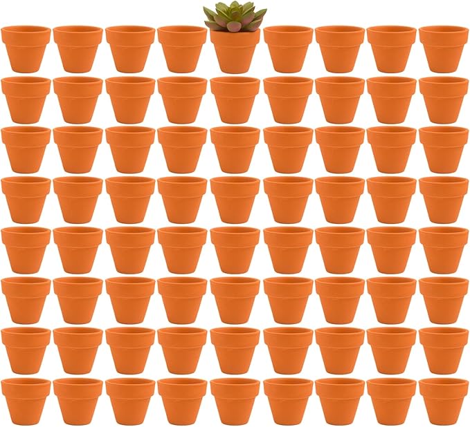 Fcacti 2 Inch Terracotta Pots Pack of 72-Mini Clay Pot with Drainage Hole for Tiny Cactus Herb lithop,Small Succulent Planter Nursery Plant Pot for Windowsill,Cactus Plant,Crafts,Wedding Favors