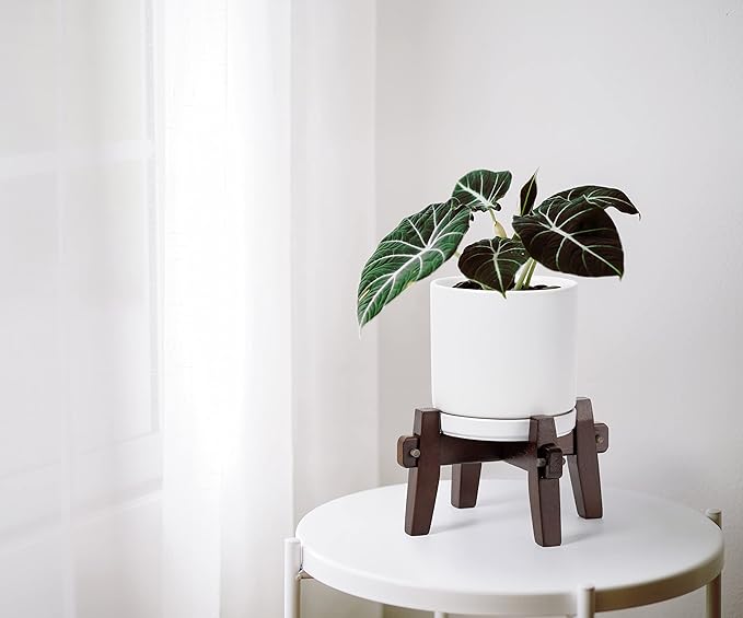 D'vine Dev Ceramic Planter with Wood Stand - 6 Inch Mid Century Modern Cylinder Plant Pot Set for Indoor Plants & Flowers, White, 55-A-Z-1