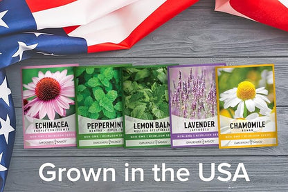 Gardeners Basics, Herbal Tea Seeds for Planting Indoors and Outdoors 5 Variety Packets Echinacea, Peppermint, Lavender, Chamomile and Lemon Balm - Great for Kitchen Herb Garden Heirloom Herb Seeds