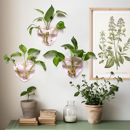 Wall Hanging Planter Propagation Station for Indoor Plants Glass Vase Air Plant Holder for Bathroom Living Room