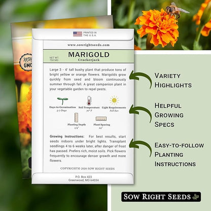 Sow Right Seeds Crackerjack African Marigold Seeds for Planting - Non-GMO Heirloom Seed Packet with Instructions - Companion Plant - Orange & Yellow Blooms Attract Pollinators, Deter Mosquitoes (2)
