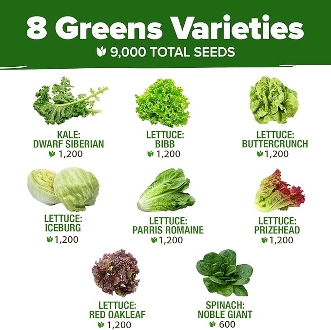 HOME GROWN Lettuce Seeds for Planting - 8 Varieties Non-GMO Heirloom Salad Greens Seeds - 9000+ USA-Sourced Vegetable Seeds for Planting Outdoors, Indoors, Hydroponic Garden