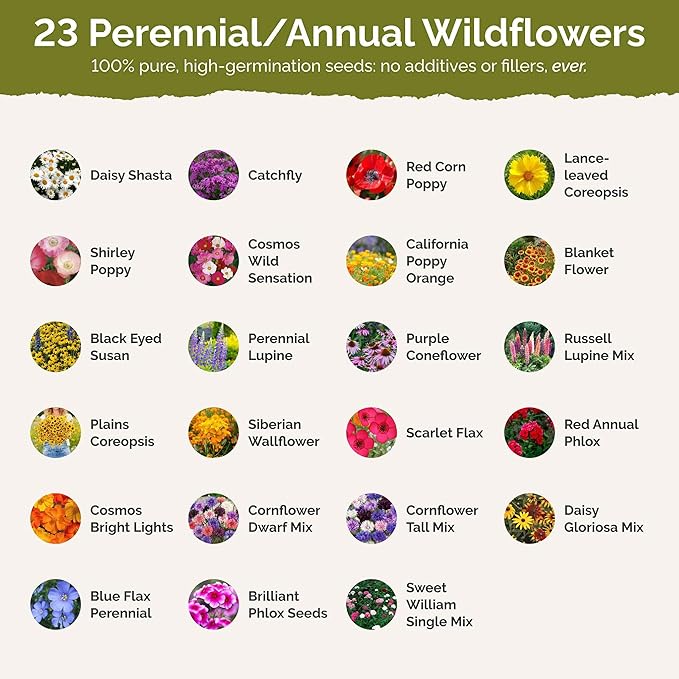 Eden Brothers Maryland Wildflower Mixed Seeds for Planting, 1 oz, 30,000+ Seeds with Shasta Daisy, Cornflower | Attracts Pollinators, Plant in Spring or Fall, Zones