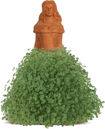 Chia Pet Princess with Seed Pack, Decorative Pottery Planter, Easy to Do and Fun to Grow, Novelty Gift, Perfect for Any Occasion