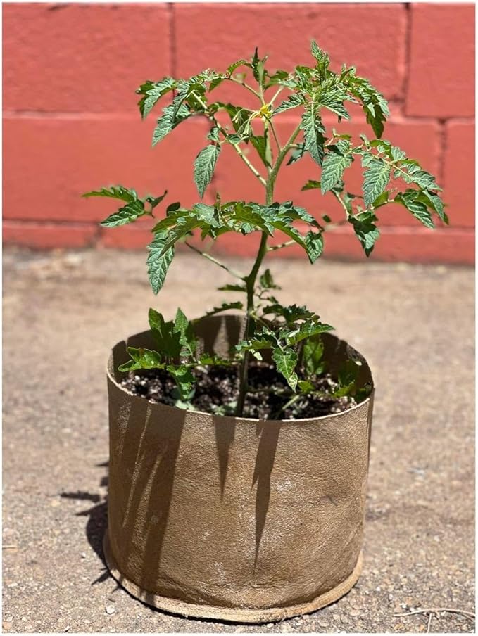Sustainable Village 5 Gallon Grassroots Living Soil Pot