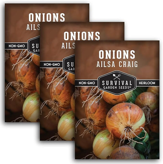 Ailsa Craig Onion Seeds for Planting – Long Day Yellow Sweet Onions with Jumbo Bulbs & Mild Flavor – Heirloom, Non-GMO, Open-Pollinated Variety – Survival Garden Seeds (3 Packs)