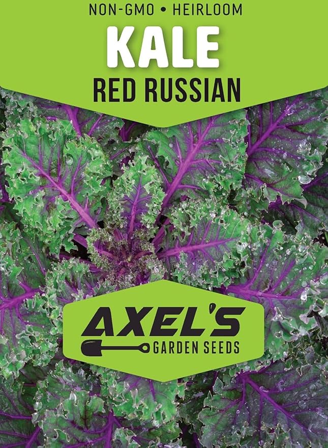 Kale Seeds for Planting - Plant & Grow Heirloom Kale Varieties Home Outdoor Garden – Easy Grow Planting Packet Instructions Included, Great Gardening Gift – 2 Packets of Each Variety