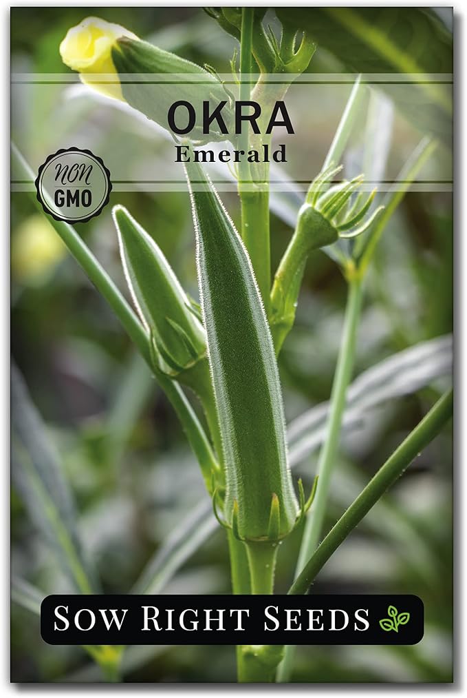 Sow Right Seeds - Emerald Okra Seeds for Planting - Non-GMO Heirloom Packet with Instructions to Plant a Home Vegetable Garden - Classic Green Pods on Tall Stalks - Make Fried Okra (1)