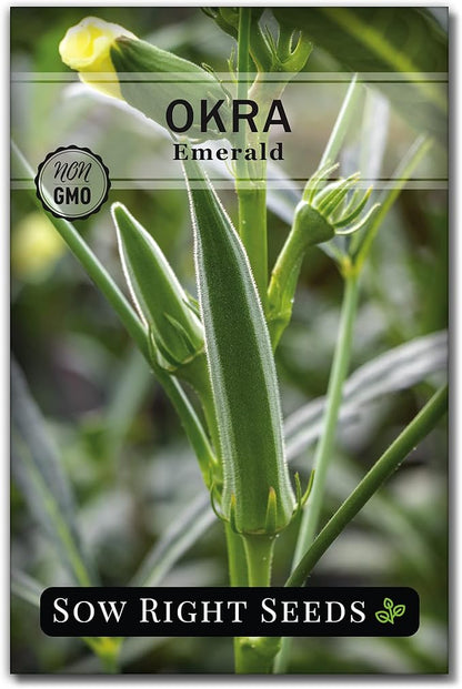Sow Right Seeds - Okra Seed Collection for Planting - Burgundy, Clemson Spineless, and Emerald Varieties - Non-GMO Heirloom Packet to Plant a Home Vegetable Garden - Productive Summer Crop
