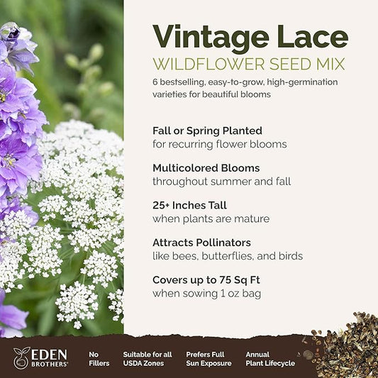 Eden Brothers Vintage Lace Flower Mixed Seeds for Planting, 1 oz, 30,000+ Seeds with Cosmos Gloria, Bishop's Flower, Snapdragon, Attracts Pollinators, Plant in Spring, Zones 3, 4, 5, 6, 7, 8, 9, 10