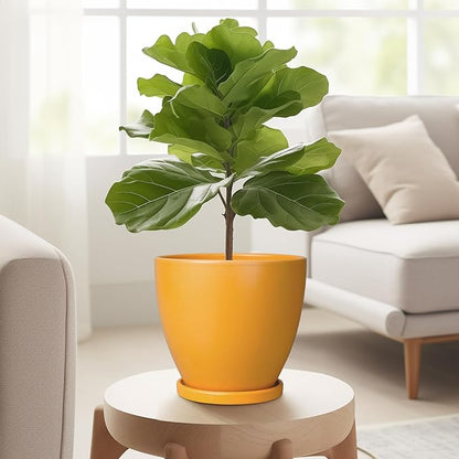 6.8 Inch Plant Pot - Ceramic Planter with Drainage Hole and Saucer, Modern Round Flower Pot, Planters for Indoor Plants, Home Garden Decor, Orange