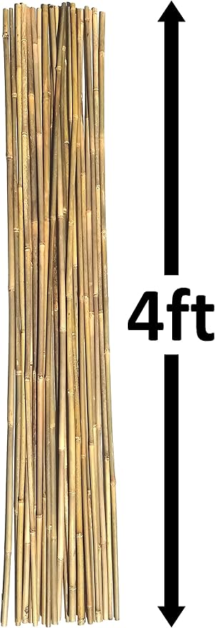 Natural Bamboo Poles, Eco-Friendly Plant Support Garden Stakes 4ft Long, Diameter of 3/8" (25-Count)