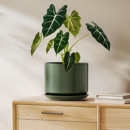 LE TAUCI Ceramic Pots for Plants, 8 Inch Plant Pot with Drainage Hole & Saucer, Modern Planters for Indoor Plants, Round Flower Pot for Snake Plant, Monstera, Perfect for Home Decor, Forest Green