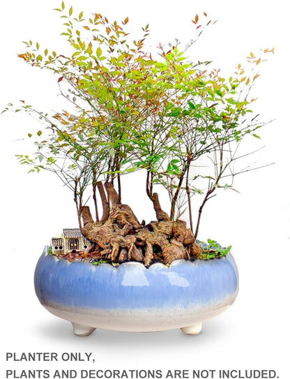 Dahlia 8.3'' Inch Large/Shallow/Wide Drip Glazed Ceramic Planter/Succulent Pot/Plant Pot, Blue