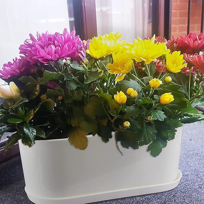 Window Box Planter with Saucers,10 Sets Rectangular Planter with Multiple Drainage Holes and Trays Plant Pots, for Succulent Cactus Flowers Vegetable