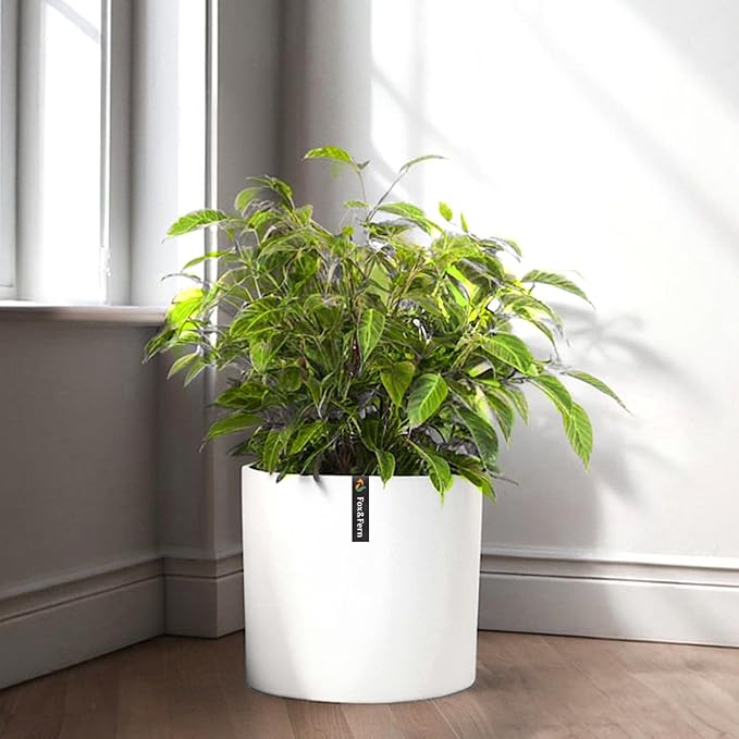 Fox & Fern 10 Inch Plant Pot with Drainage Plug — Premium Polystone Matte White Planter - Indoor & Outdoor Planter - 10 Inch Pots for Plants - Weather Resistant & UV Resistant