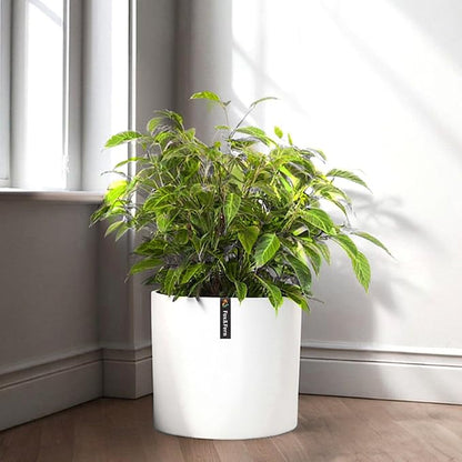 Fox & Fern 10 Inch Plant Pot with Drainage Plug — Premium Polystone Matte White Planter - Indoor & Outdoor Planter - 10 Inch Pots for Plants - Weather Resistant & UV Resistant