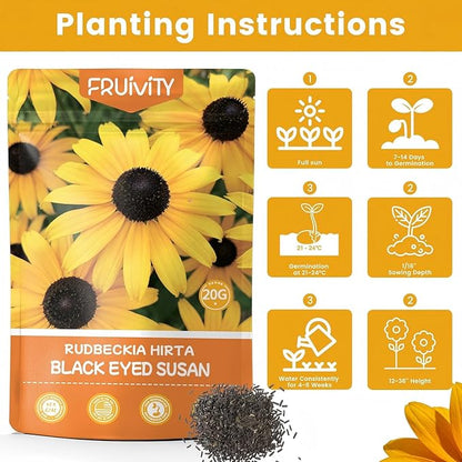 5000+ Black Eyed Susan Seeds for Planting, Wildflower Seeds for Pollinator Gardens Planting, Non-GMO Heirloom Flower Seeds to Plant Outside & Inside, Borders, Containers, Rudbeckia hirta