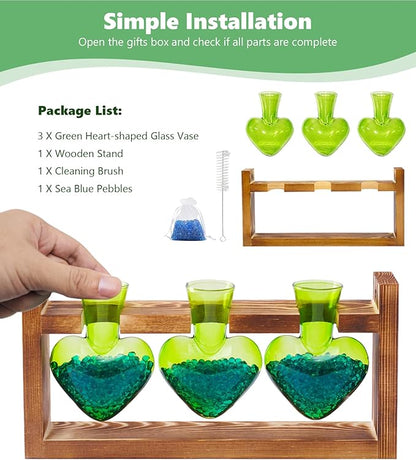 Nacome Plant Terrarium Propagation Stations: Birthday Gifts for Plant Lovers Women Mom Wife Daughter - 3 Bulb Glass Vase with Wooden Stand Tabletop for Hydroponics Home Garden Decor(Green)