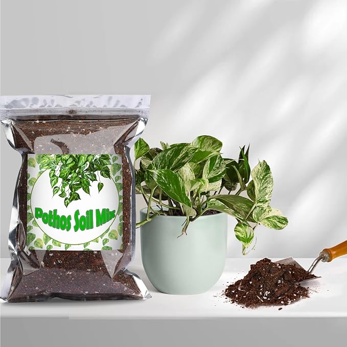 Organic Pothos Soil Mix 10qt, Indoor Plants Potting Mix for All Potted Pothos, Grow Healthy houseplants Indoors