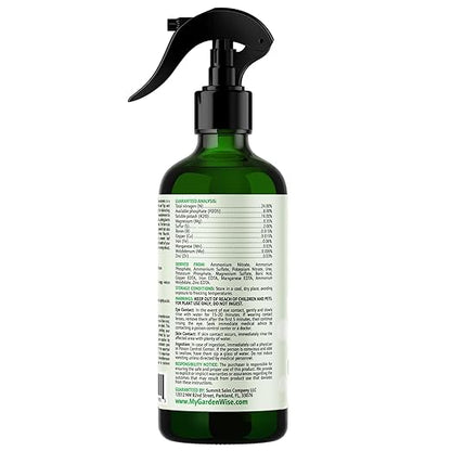 3-1-2 Fiddle Leaf Fig Foliar Spray - Plant Shine & Fertilizer - Premium Spray for Indoor Plants with Essential Nutrients - Fiddle Leaf Fig Plant Food & Fertilizer - Ready-to-Use (16 OZ)