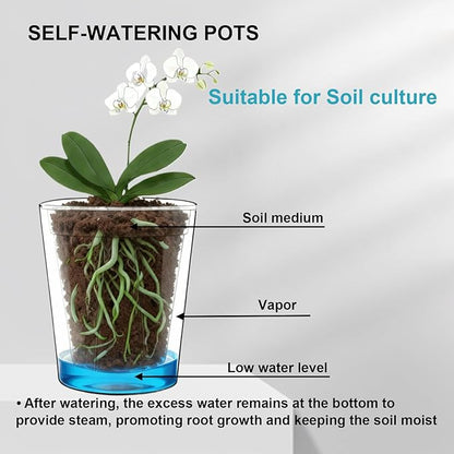 3 Pack of 6in Plastic Cachepot with 6 inch Clear nusery Pot - self Watering Indoor Planter with Drainage for Root Visibility,semi Hydro pots for repotting Orchids,Aroid or Monstera,Black