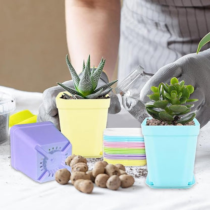 OJYUDD 24 Pack Multi Color Plastic Plant Pot,Colorful Plastic Square Pots,Mini Plastic Square Planters for Indoor Outdoor Plants Flowers,Garden,Office,Home Decor,with Pallet