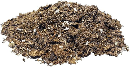 Money Tree Soil Mix – 2 Quart Fast-Draining Potting Soil for Healthy Root Growth – All-Natural Blend – Resealable Bag – Ideal for Pachira aquatica & Indoor Houseplants
