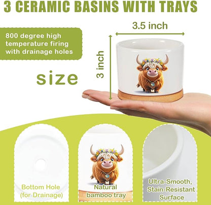 Highland Cow Planters for Indoor Plants – 1350°C Kiln-Fired Fine Ceramic Succulent Planter Set of 3, Funny Animal Pots for Room, Bathroom, Yoga, Meditation Decor (No Plant Included)