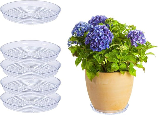 Curtis Wagner Plastics Drip Pan Plant Saucers (5-Pack) - Clear, Round (Diameter: 11" Base, 12" Top, 1.25" Depth) Thin Plastic Planter to be Used as Indoor Pot & for Outdoor Plant Pots
