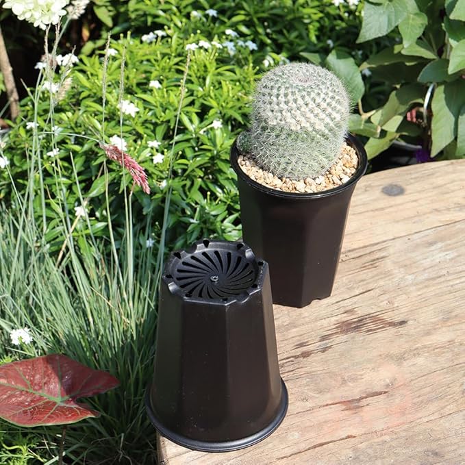 BangQiao 10 Pack 5.30 Inch Black Plastic Deep Nursery and Seedling Pots, Round Planter Container for Transplanting, Cutting, Succulent