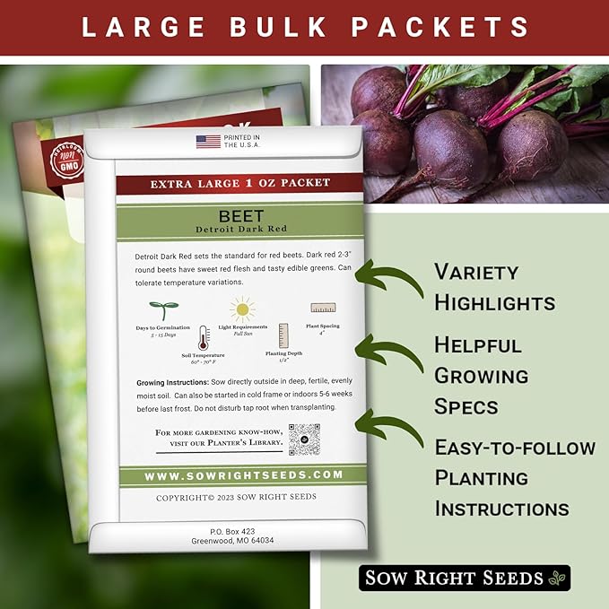 Sow Right Seeds - Bulk Detroit Dark Red Beet Seeds for Planting - 1 Ounce, 1600 Seeds - Non-GMO Heirloom Jumbo Pack with Instructions to Grow an Outdoor Home Vegetable Garden - Always Have Beets