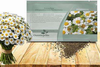 Outsidepride Feverfew Chrysanthemum Seeds - 5000 Pcs. Perennial, Drought Tolerant Flower Seeds for Planting in Pollinator Gardens, Cut Flowers & Low Maintenance Landscaping