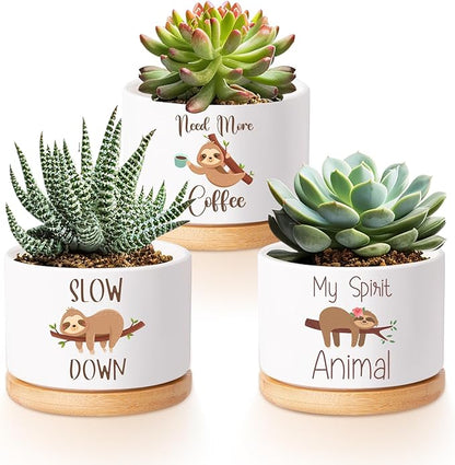 Vesici 3 Pcs Sloth Gifts for Women Sloth Planter Succulent Pots with Drainage and Bamboo Tray Small Ceramic Succulent Planters Animal Plant Pot for Christmas Office Home Decor Plant Lovers