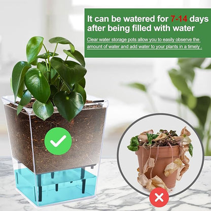 Self Watering Pots Set, 3 Pack 2.7 Inch Pots for Indoor Plants, Clear Nursery Planter with Deep Reservoir for Succulents, Seedlings, Small Plants