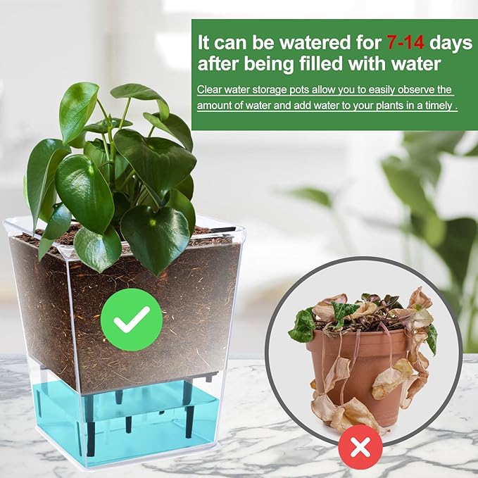 Self Watering Pots Set, 3 Pack Self Watering Pots for Indoor Plants, Clear Planter Pot with Deep Reservoir for Spider Plant, Orchid, African Violet (Clear, 3 Medium)