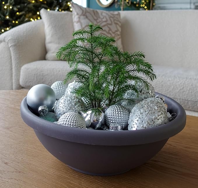 The HC Companies 20 Inch Large Garden Bowl Planter - Shallow Plant Pot with Drainage Plug for Indoor Outdoor Flowers, Herbs, Warm Gray (Pack of 5)
