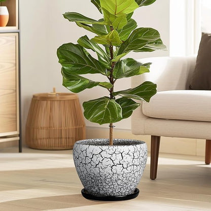 Ceramic Plant Pot 8 Inch - Ceramic Planter for Indoor Plants, Round Flower Pot with Drainage Hole and Saucer, Glaze White and Black