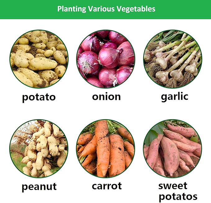 Potato Grow Bags,(5 Pack 10 Gallon) Garden Vegetables Growing Planter with Handles and Access Flap for Planting Potato Carrot Onion Taro Radish Peanut, (Dark Green)
