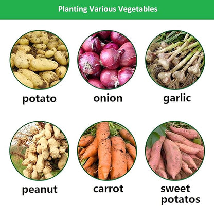 Potato Grow Bags,(5 Pack 10 Gallon) Garden Vegetables Growing Planter with Handles and Access Flap for Planting Potato Carrot Onion Taro Radish Peanut, (Dark Green)