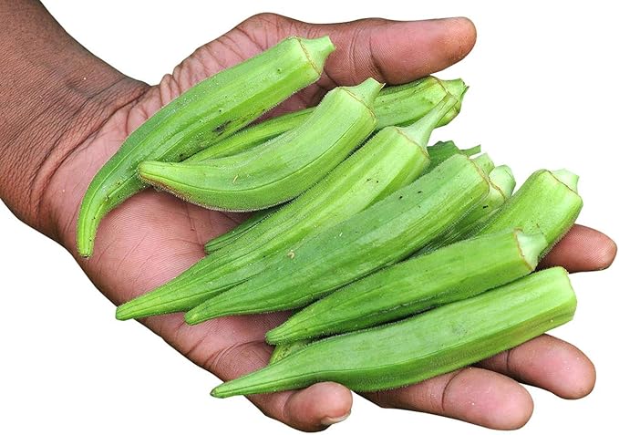 Seeds Green Okra Bamia (Lady's Finger) Non GMO Vegetable for Planting