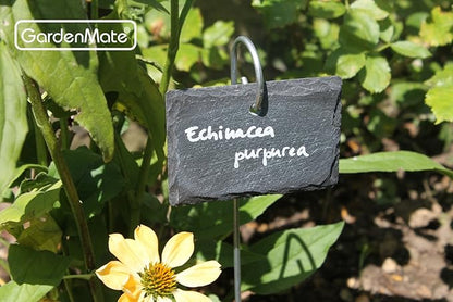 GardenMate 5-Pack Natural Style Slate Plant Labels (4"x 2 3/4") Hanging from a Stainless Steel Metal Rod (17")