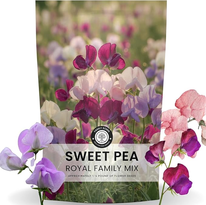 Sweet Pea Royal Family Mix – 1000 Seeds for Planting – 2026 Season – 4 Ounces