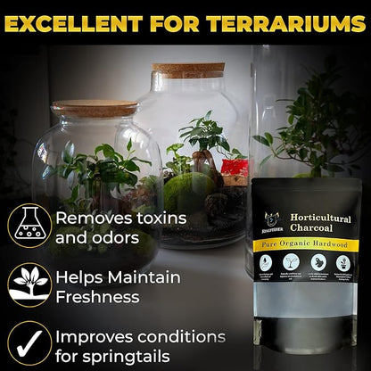 Organic Horticultural Charcoal & Terrarium Charcoal | Charcoal for Plants | Pure Hardwood Charcoal for Planting and Gardening | Organic Canadian Maple Biochar (4 QUARTS)